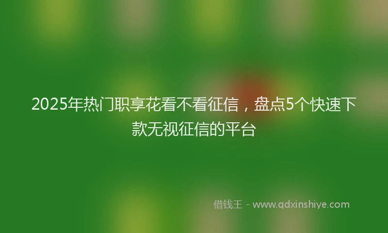2025年热门职享花看不看征信，盘点5个快速下款无视征信的平台