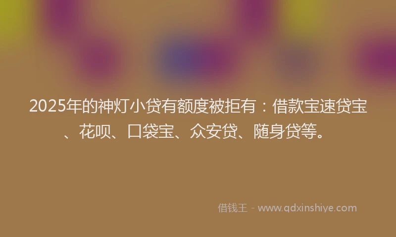 2025年的神灯小贷有额度被拒有:借款宝速贷宝、花呗、口袋宝、众安贷、随身贷等。