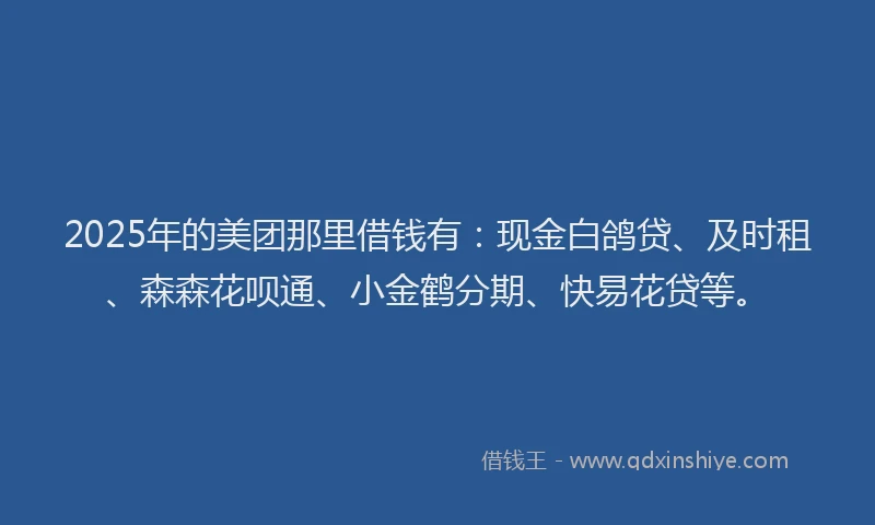 2025年的美团那里借钱有：现金白鸽贷、及时租、森森花呗通、小金鹤分期、快易花贷等。