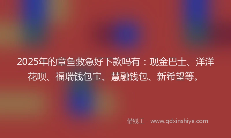 2025年的章鱼救急好下款吗有：现金巴士、洋洋花呗、福瑞钱包宝、慧融钱包、新希望等。