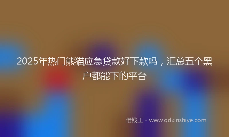 2025年热门熊猫应急贷款好下款吗,汇总五个黑户都能下的平台