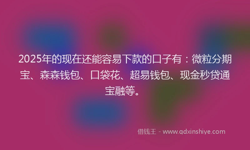 2025年的现在还能容易下款的口子有：微粒分期宝、森森钱包、口袋花、超易钱包、现金秒贷通宝融等。
