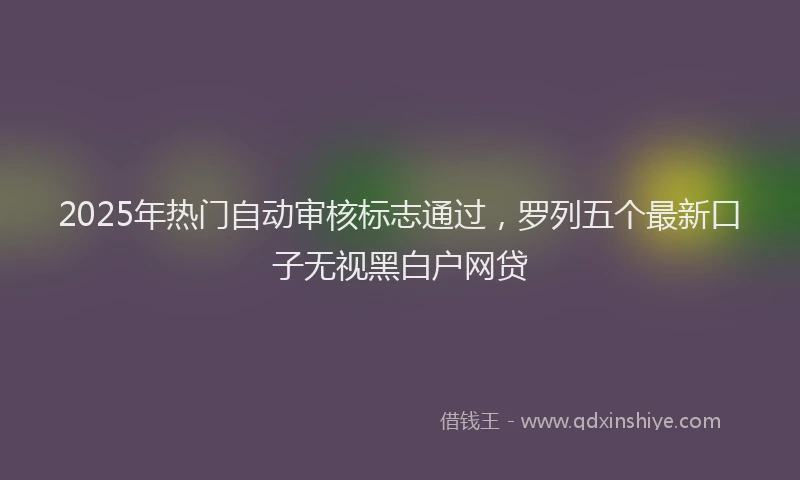 2025年热门自动审核标志通过，罗列五个最新口子无视黑白户网贷