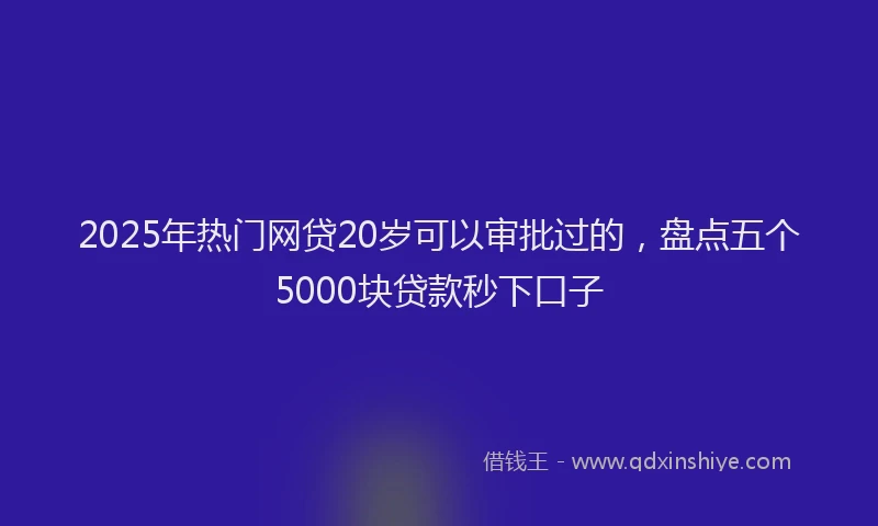 2025年热门网贷20岁可以审批过的，盘点五个5000块贷款秒下口子