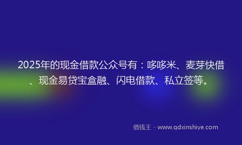 2025年的现金借款公众号有:哆哆米、麦芽快借、现金易贷宝盒融、闪电借款、私立签等。