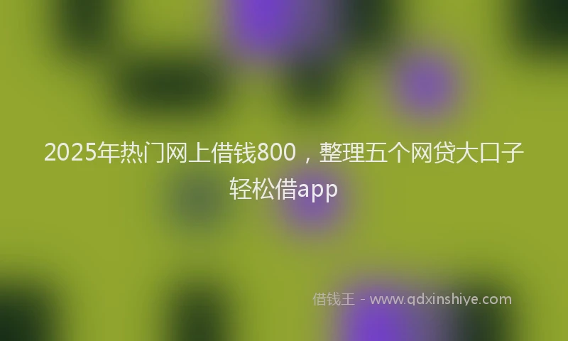 2025年热门网上借钱800，整理五个网贷大口子轻松借app