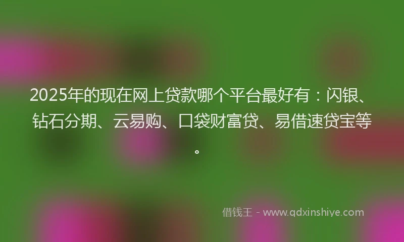 2025年的现在网上贷款哪个平台最好有：闪银、钻石分期、云易购、口袋财富贷、易借速贷宝等。