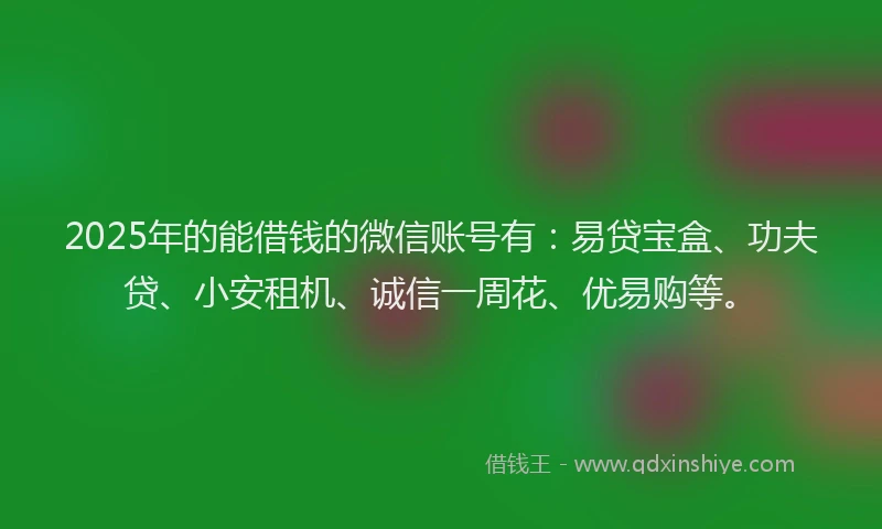 2025年的能借钱的微信账号有：易贷宝盒、功夫贷、小安租机、诚信一周花、优易购等。