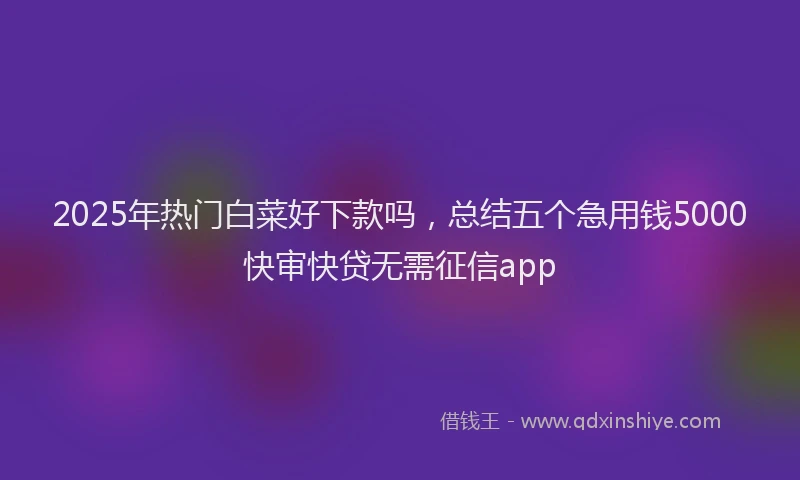 2025年热门白菜好下款吗，总结五个急用钱5000快审快贷无需征信app