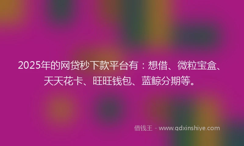 2025年的网贷秒下款平台有：想借、微粒宝盒、天天花卡、旺旺钱包、蓝鲸分期等。