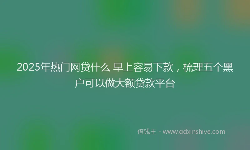 2025年热门网贷什么 早上容易下款，梳理五个黑户可以做大额贷款平台