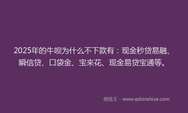 2025年的牛呗为什么不下款有：现金秒贷易融、瞬信贷、口袋金、宝来花、现金易贷宝通等。
