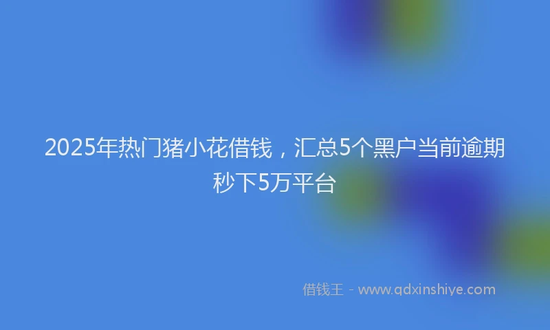 2025年热门猪小花借钱，汇总5个黑户当前逾期秒下5万平台
