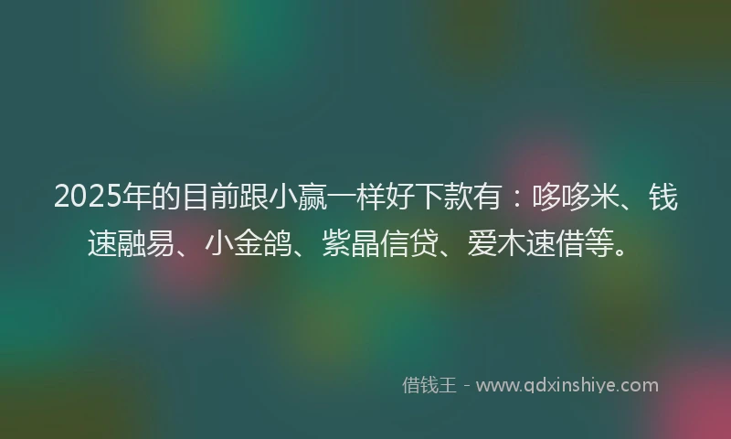 2025年的目前跟小赢一样好下款有：哆哆米、钱速融易、小金鸽、紫晶信贷、爱木速借等。