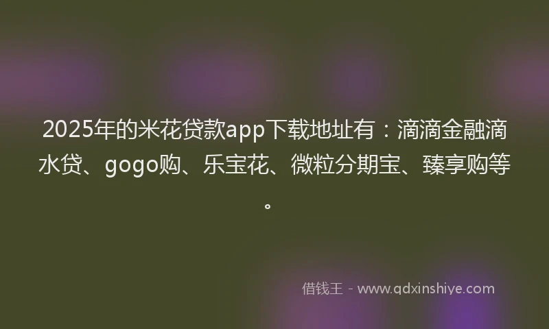 2025年的米花贷款app下载地址有：滴滴金融滴水贷、gogo购、乐宝花、微粒分期宝、臻享购等。