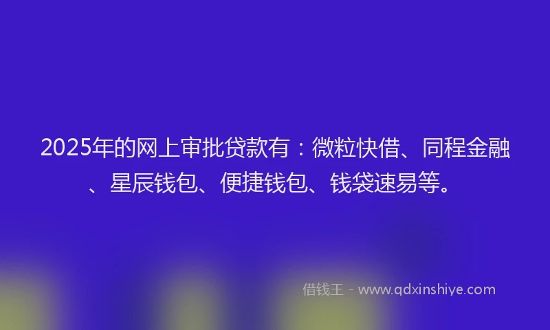 2025年的网上审批贷款有：微粒快借、同程金融、星辰钱包、便捷钱包、钱袋速易等。