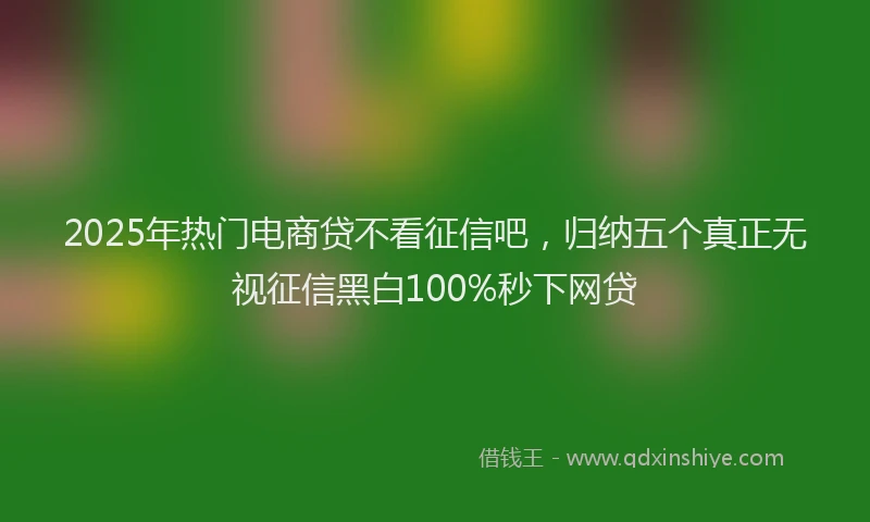 2025年热门电商贷不看征信吧，归纳五个真正无视征信黑白100%秒下网贷