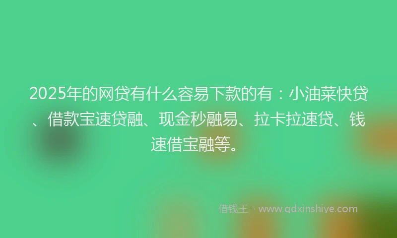 2025年的网贷有什么容易下款的有：小油菜快贷、借款宝速贷融、现金秒融易、拉卡拉速贷、钱速借宝融等。