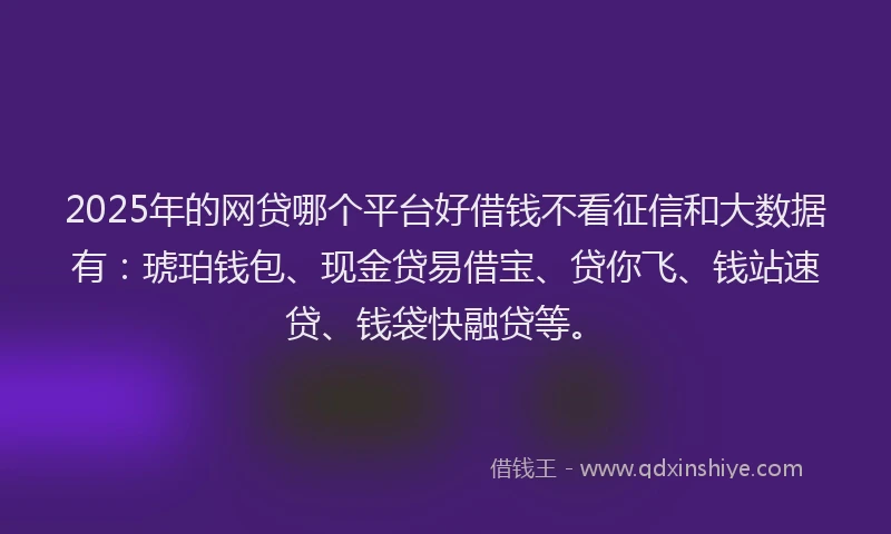 2025年的网贷哪个平台好借钱不看征信和大数据有：琥珀钱包、现金贷易借宝、贷你飞、钱站速贷、钱袋快融贷等。