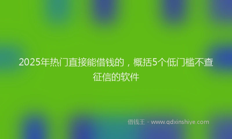 2025年热门直接能借钱的，概括5个低门槛不查征信的软件