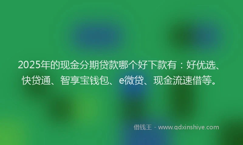 2025年的现金分期贷款哪个好下款有:好优选、快贷通、智享宝钱包、e微贷、现金流速借等。