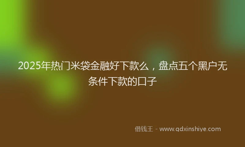 2025年热门米袋金融好下款么，盘点五个黑户无条件下款的口子