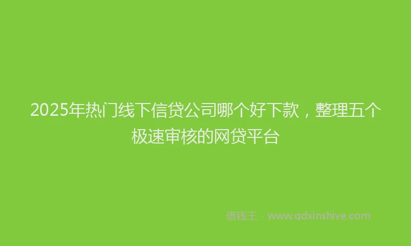 2025年热门线下信贷公司哪个好下款，整理五个极速审核的网贷平台