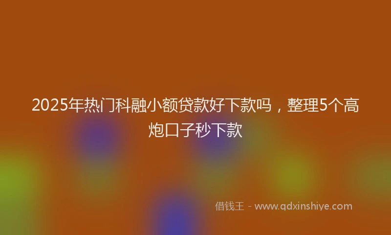 2025年热门科融小额贷款好下款吗，整理5个高炮口子秒下款