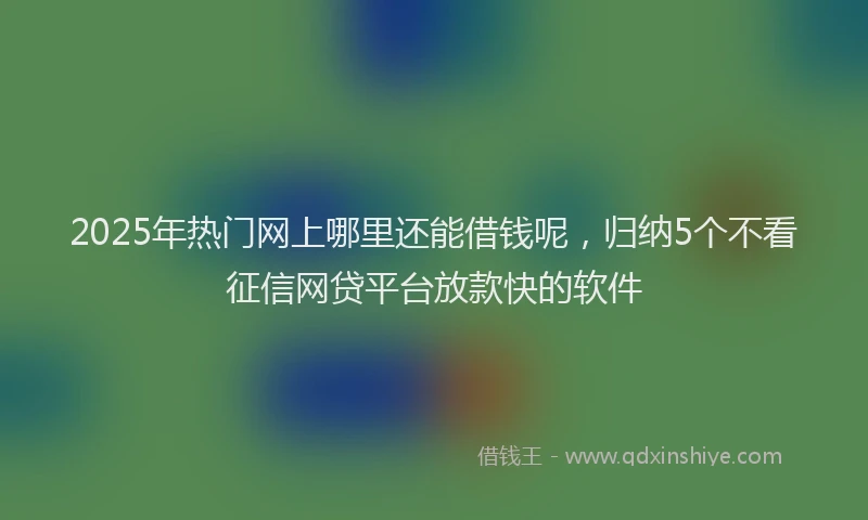 2025年热门网上哪里还能借钱呢，归纳5个不看征信网贷平台放款快的软件