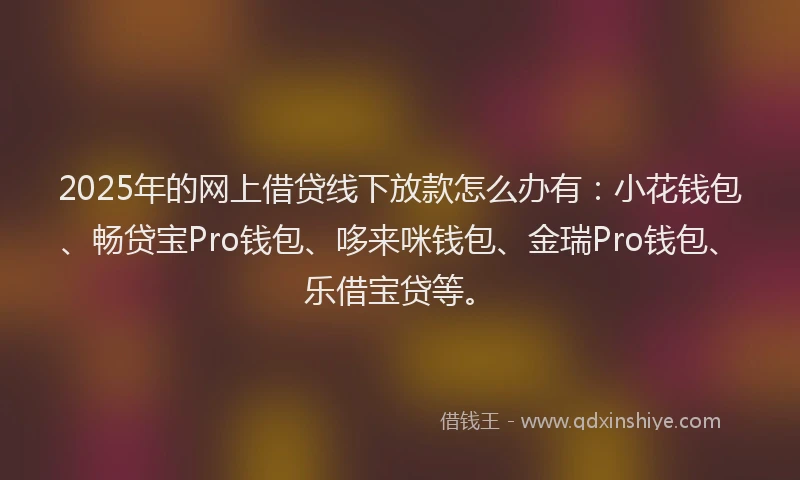 2025年的网上借贷线下放款怎么办有：小花钱包、畅贷宝Pro钱包、哆来咪钱包、金瑞Pro钱包、乐借宝贷等。