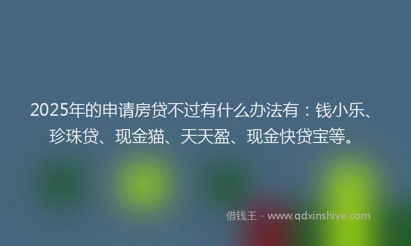 2025年的申请房贷不过有什么办法有：钱小乐、珍珠贷、现金猫、天天盈、现金快贷宝等。