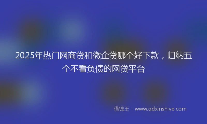 2025年热门网商贷和微企贷哪个好下款，归纳五个不看负债的网贷平台