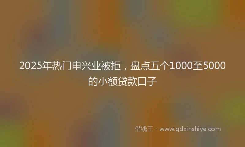 2025年热门申兴业被拒，盘点五个1000至5000的小额贷款口子