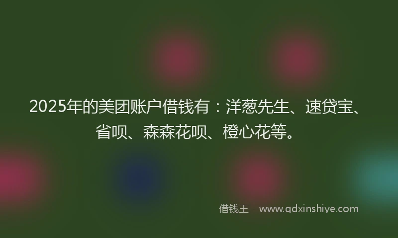 2025年的美团账户借钱有：洋葱先生、速贷宝、省呗、森森花呗、橙心花等。