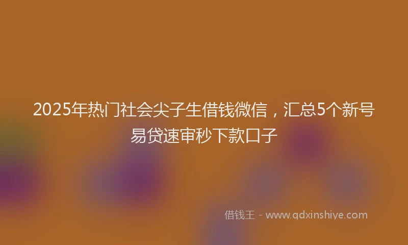2025年热门社会尖子生借钱微信,汇总5个新号易贷速审秒下款口子