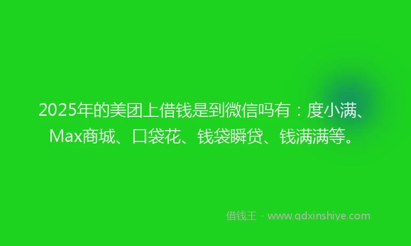 2025年的美团上借钱是到微信吗有：度小满、Max商城、口袋花、钱袋瞬贷、钱满满等。