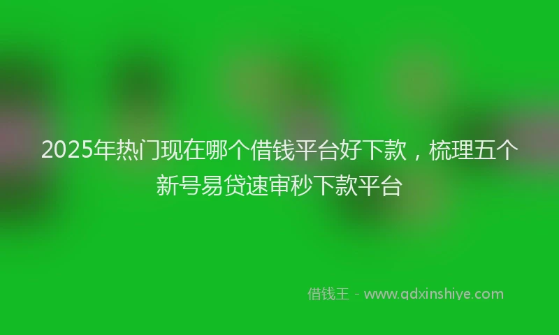 2025年热门现在哪个借钱平台好下款，梳理五个新号易贷速审秒下款平台
