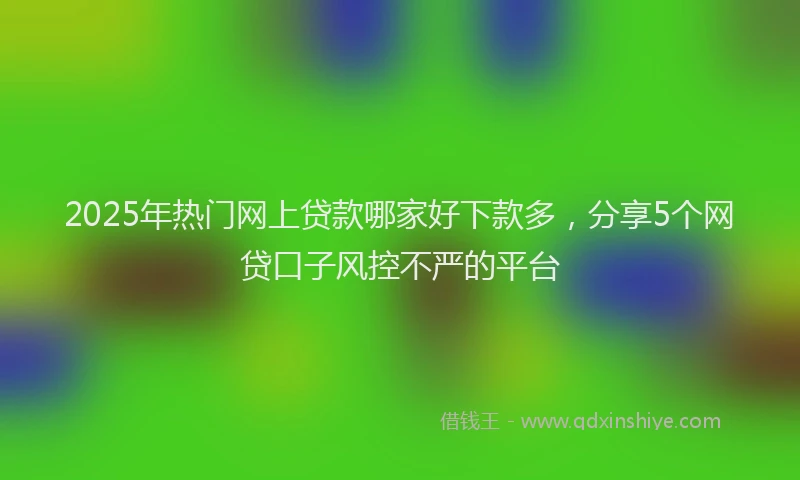 2025年热门网上贷款哪家好下款多,分享5个网贷口子风控不严的平台