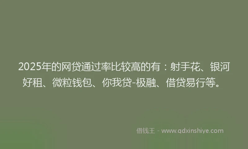 2025年的网贷通过率比较高的有：射手花、银河好租、微粒钱包、你我贷-极融、借贷易行等。