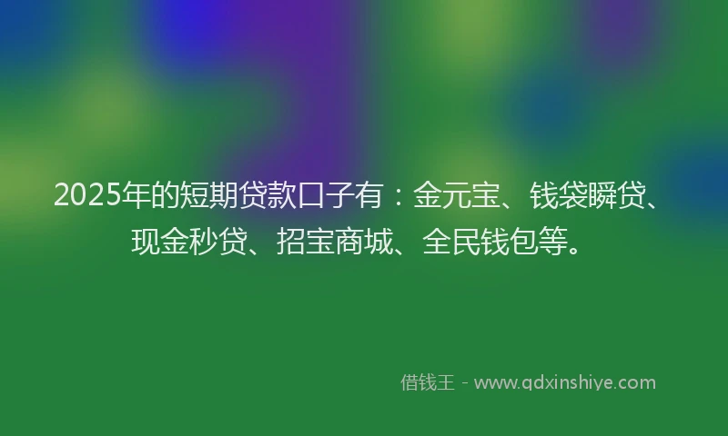 2025年的短期贷款口子有：金元宝、钱袋瞬贷、现金秒贷、招宝商城、全民钱包等。