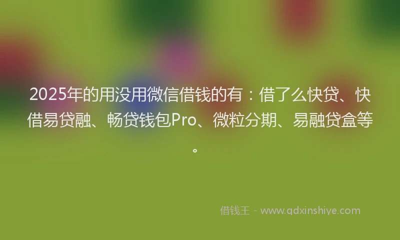 2025年的用没用微信借钱的有：借了么快贷、快借易贷融、畅贷钱包Pro、微粒分期、易融贷盒等。