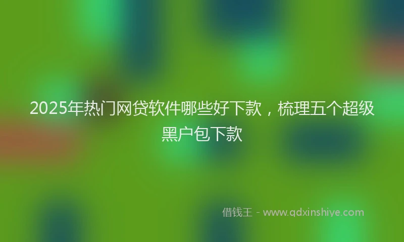 2025年热门网贷软件哪些好下款,梳理五个超级黑户包下款