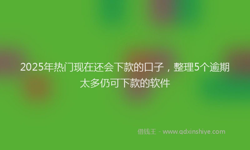 2025年热门现在还会下款的口子，整理5个逾期太多仍可下款的软件