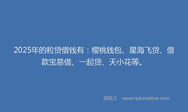 2025年的粒贷借钱有：樱桃钱包、星海飞贷、借款宝易借、一起贷、天小花等。