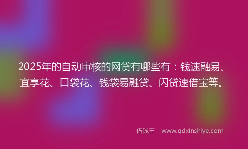 2025年的自动审核的网贷有哪些有：钱速融易、宜享花、口袋花、钱袋易融贷、闪贷速借宝等。