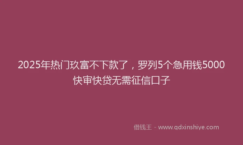 2025年热门玖富不下款了，罗列5个急用钱5000快审快贷无需征信口子
