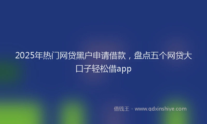 2025年热门网贷黑户申请借款，盘点五个网贷大口子轻松借app