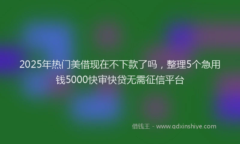 2025年热门美借现在不下款了吗,整理5个急用钱5000快审快贷无需征信平台