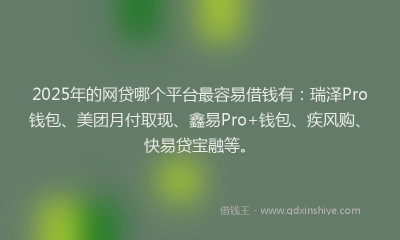 2025年的网贷哪个平台最容易借钱有：瑞泽Pro钱包、美团月付取现、鑫易Pro+钱包、疾风购、快易贷宝融等。