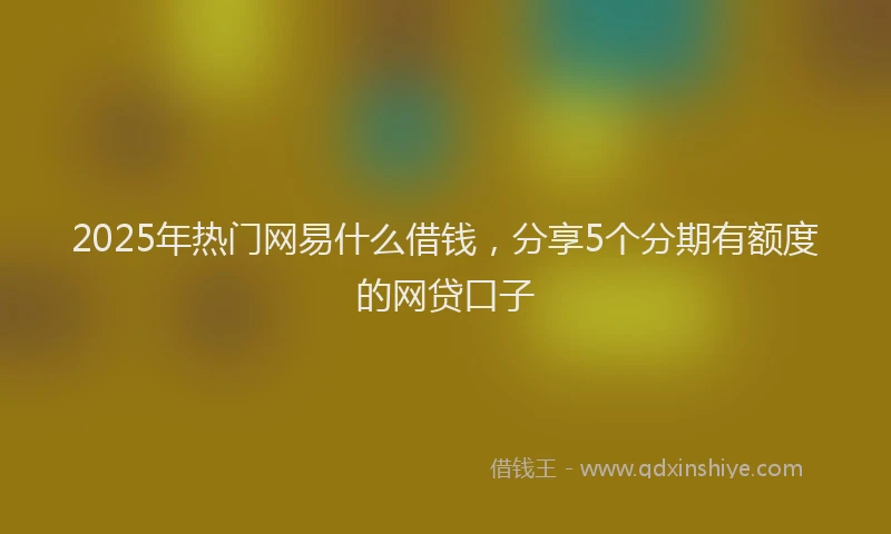 2025年热门网易什么借钱，分享5个分期有额度的网贷口子